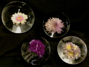 Flower Ice Spheres