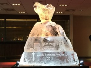 Volcano for SW Chamber of Commerce Business Awards